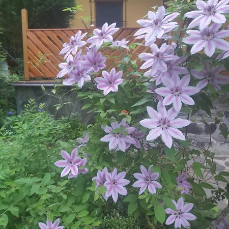 Nad Kupaliskom 코바초바