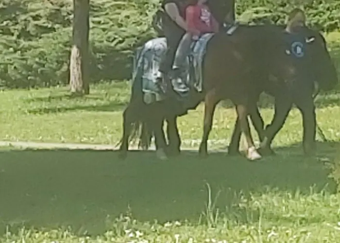 롯지 Nad Kupaliskom 코바초바